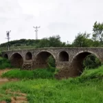 Edirne Mercan’daki mera alanında ‘usulsüz ağaçlandırma’ iddiası!